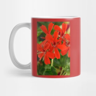 Ivy-leaved Pelargonium Mug